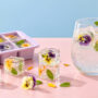 Clear ice cubes filled with colorful edible flowers beside a pastel lavender ice tray and a glass of sparkling water on a pink table.